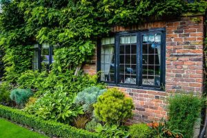 Black steel windows