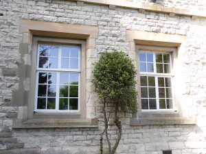 Homelight windows